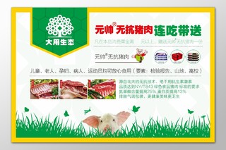猪肉海报生鲜生态健康绿色食品美味卫生标准要求海报模板